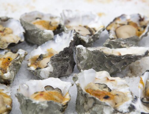Oyster Fest Is Coming!
