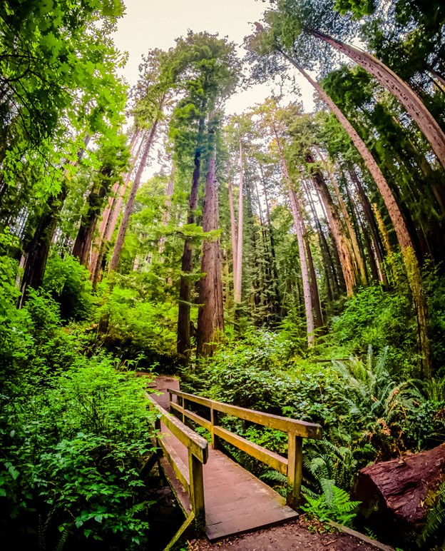 Plan Your Visit - Visit Arcata!