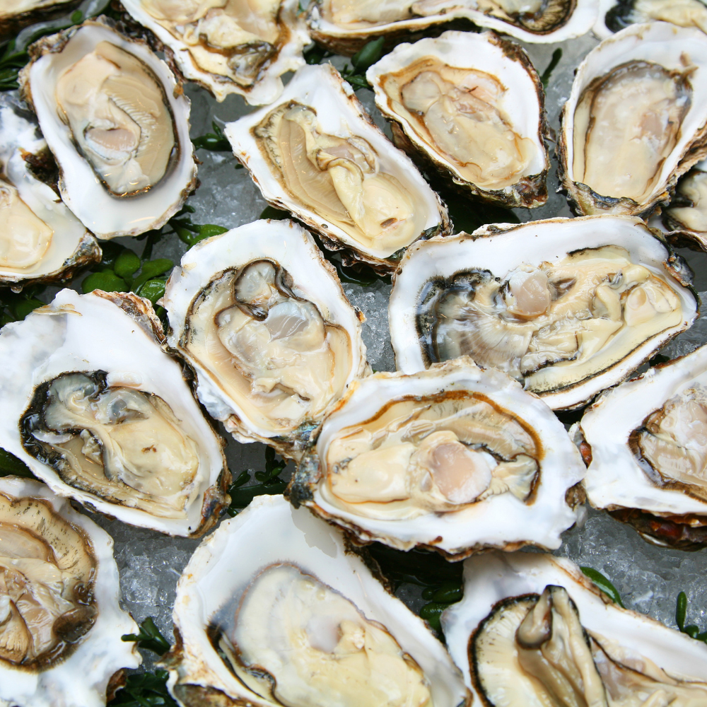 Prepared oysters