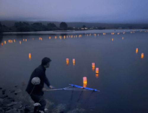 Arcata Lantern Floating Ceremony